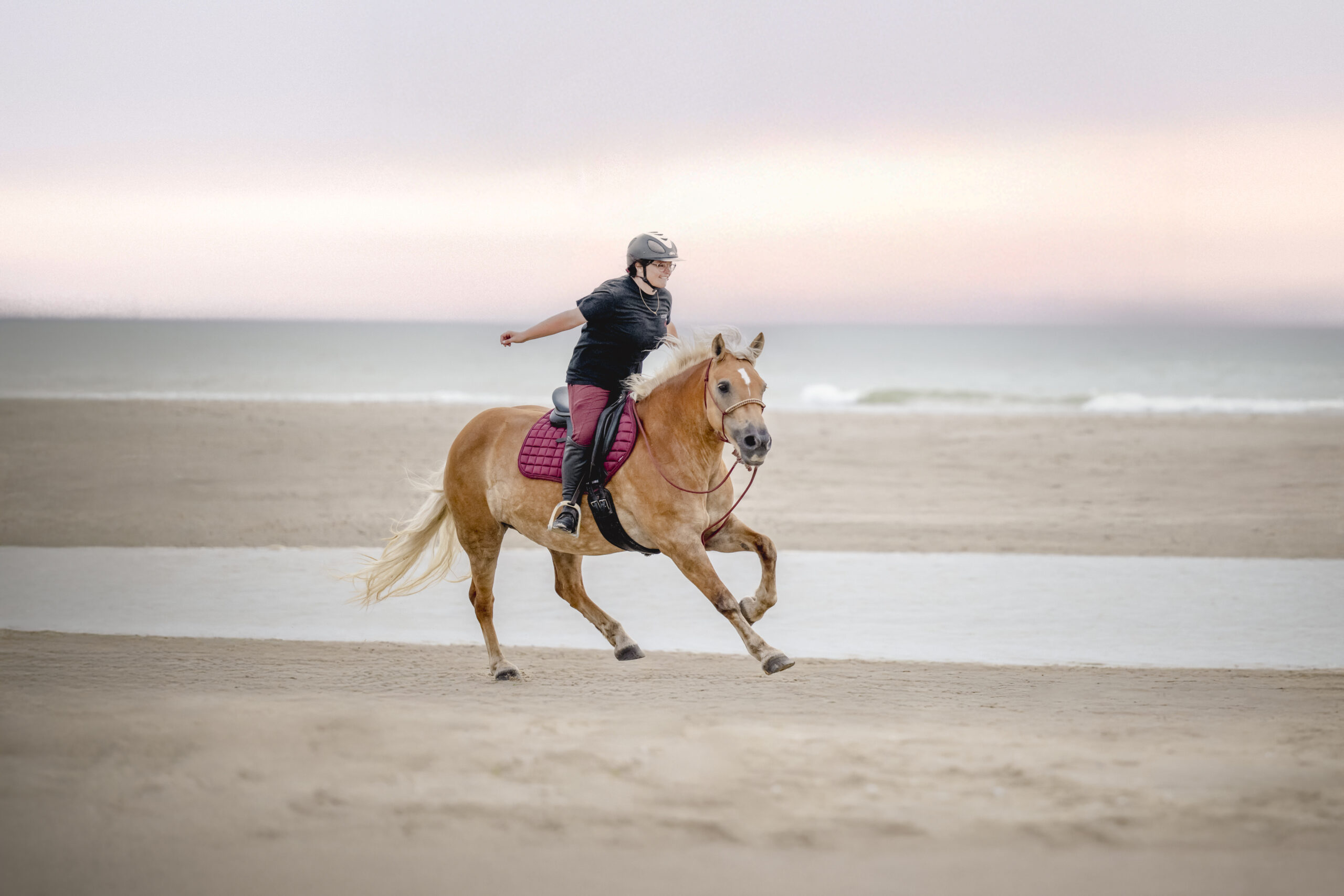 Photographe animalière ; Photographie animalière ; Photographe professionnelle ; Séance photo animale ; Shooting photo animalier ; Portrait animalier ; Photographe Hauts-de-France ; Photographe Somme ; Photographe Pas-de-Calais ; Photographe Nord ; Photographe Lille ; Photographe Amiens ; Photographe Arras ; Photographe Douai ; Photographe Lens ; Photographe Valenciennes ; Photographe Saint-Quentin ; Photographe extérieure ; Photographe nature ; Photographe lumière naturelle ; Photographe douce et patiente ; Photographe bienveillante ; Photographe chien ; Séance photo chien ; Shooting photo canin ; Portrait de chien ; Photo de chien en extérieur ; Photographie de chien en mouvement ; Photographe de chien Hauts-de-France ; Photographe canin Somme ; Photographe canin Pas-de-Calais ; Photographe canin Nord ; Photographe équin ; Photographe cheval ; Séance photo cheval ; Shooting photo équin ; Portrait de cheval ; Photo de cheval en extérieur ; Photographie de cheval en mouvement ; Photographe de cheval Hauts-de-France ; Photographe équin Somme ; Photographe équin Pas-de-Calais ; Photographe équin Nord ; Photographe lifestyle ; Séance photo famille avec animal ; Shooting photo couple avec animal ; Portraits en extérieur avec animal ; Photographe lifestyle Hauts-de-France ; Photographe lifestyle Somme ; Photographe lifestyle Pas-de-Calais ; Photographe lifestyle Nord ; Carte cadeau séance photo ; Offrir une séance photo animale ; Bon cadeau shooting photo ; Idée cadeau photographie animalière ; Galerie photo privée ; Accès galerie client ; Galerie en ligne séance photo ; Téléchargement photos séance ; Commande tirages photo ; Conseils photographie animalière ; Astuces photo chien ; Astuces photo cheval ; Histoires inspirantes animaux ; Coulisses séance photo ; Actualités photographe animalière ; Emmanuelle Meunier ; Emmanuelle Meunier Photographie ; Photographe Emmanuelle Meunier ; Emmanuelle Meunier photographe animalière ; Emmanuelle Meunier Hauts-de-France ; Emmanuelle Meunier Somme ; Emmanuelle Meunier Pas-de-Calais ; Emmanuelle Meunier Nord ; Shooting photo chien Amiens ; Séance photo cheval Arras ; Photographe canine Lille ; Photographe équine Lens ; Portrait animal Valenciennes ; Photo chien Saint-Quentin ; Photo cheval nature Hauts-de-France ; Portrait chien complicité ; Shooting équin lumière naturelle ; Photo artistique chien ; Photo artistique cheval
