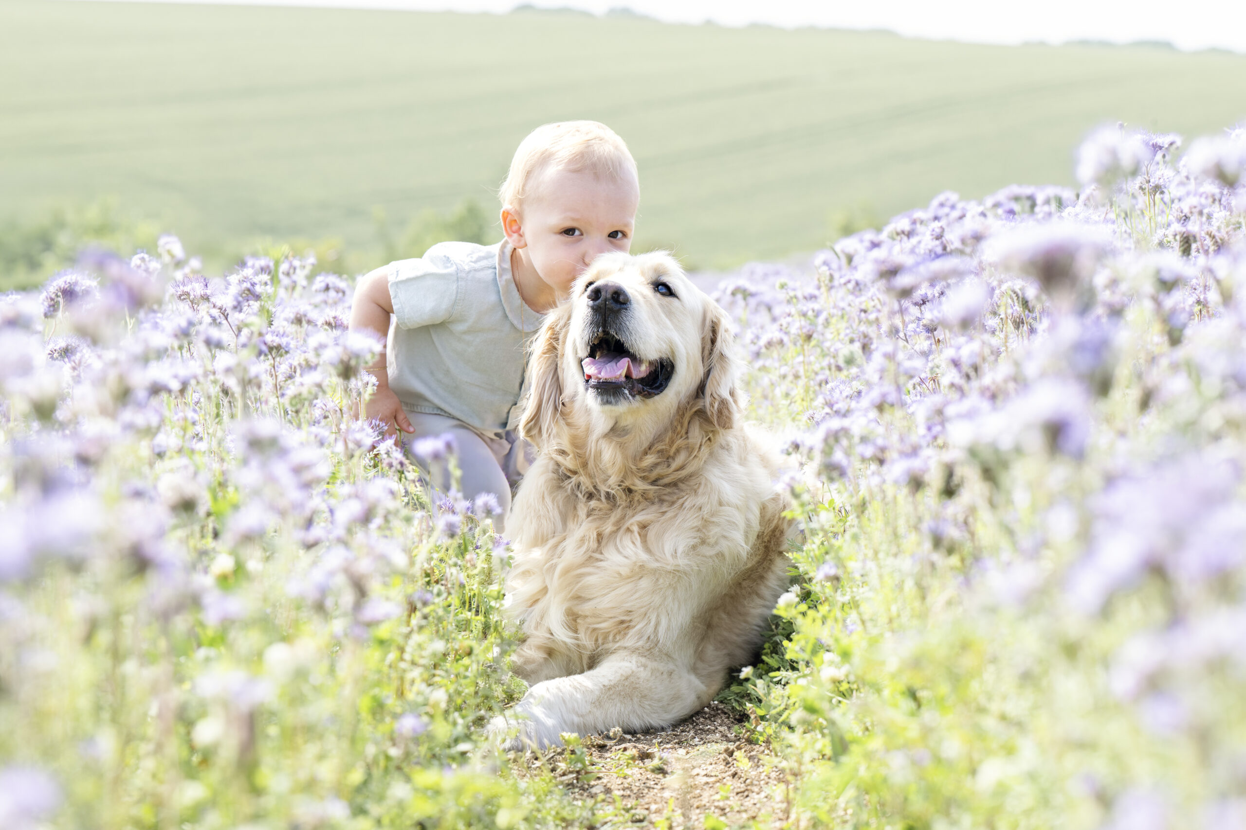 Photographe animalière ; Photographie animalière ; Photographe professionnelle ; Séance photo animale ; Shooting photo animalier ; Portrait animalier ; Photographe Hauts-de-France ; Photographe Somme ; Photographe Pas-de-Calais ; Photographe Nord ; Photographe Lille ; Photographe Amiens ; Photographe Arras ; Photographe Douai ; Photographe Lens ; Photographe Valenciennes ; Photographe Saint-Quentin ; Photographe extérieure ; Photographe nature ; Photographe lumière naturelle ; Photographe douce et patiente ; Photographe bienveillante ; Photographe chien ; Séance photo chien ; Shooting photo canin ; Portrait de chien ; Photo de chien en extérieur ; Photographie de chien en mouvement ; Photographe de chien Hauts-de-France ; Photographe canin Somme ; Photographe canin Pas-de-Calais ; Photographe canin Nord ; Photographe équin ; Photographe cheval ; Séance photo cheval ; Shooting photo équin ; Portrait de cheval ; Photo de cheval en extérieur ; Photographie de cheval en mouvement ; Photographe de cheval Hauts-de-France ; Photographe équin Somme ; Photographe équin Pas-de-Calais ; Photographe équin Nord ; Photographe lifestyle ; Séance photo famille avec animal ; Shooting photo couple avec animal ; Portraits en extérieur avec animal ; Photographe lifestyle Hauts-de-France ; Photographe lifestyle Somme ; Photographe lifestyle Pas-de-Calais ; Photographe lifestyle Nord ; Carte cadeau séance photo ; Offrir une séance photo animale ; Bon cadeau shooting photo ; Idée cadeau photographie animalière ; Galerie photo privée ; Accès galerie client ; Galerie en ligne séance photo ; Téléchargement photos séance ; Commande tirages photo ; Conseils photographie animalière ; Astuces photo chien ; Astuces photo cheval ; Histoires inspirantes animaux ; Coulisses séance photo ; Actualités photographe animalière ; Emmanuelle Meunier ; Emmanuelle Meunier Photographie ; Photographe Emmanuelle Meunier ; Emmanuelle Meunier photographe animalière ; Emmanuelle Meunier Hauts-de-France ; Emmanuelle Meunier Somme ; Emmanuelle Meunier Pas-de-Calais ; Emmanuelle Meunier Nord ; Shooting photo chien Amiens ; Séance photo cheval Arras ; Photographe canine Lille ; Photographe équine Lens ; Portrait animal Valenciennes ; Photo chien Saint-Quentin ; Photo cheval nature Hauts-de-France ; Portrait chien complicité ; Shooting équin lumière naturelle ; Photo artistique chien ; Photo artistique cheval