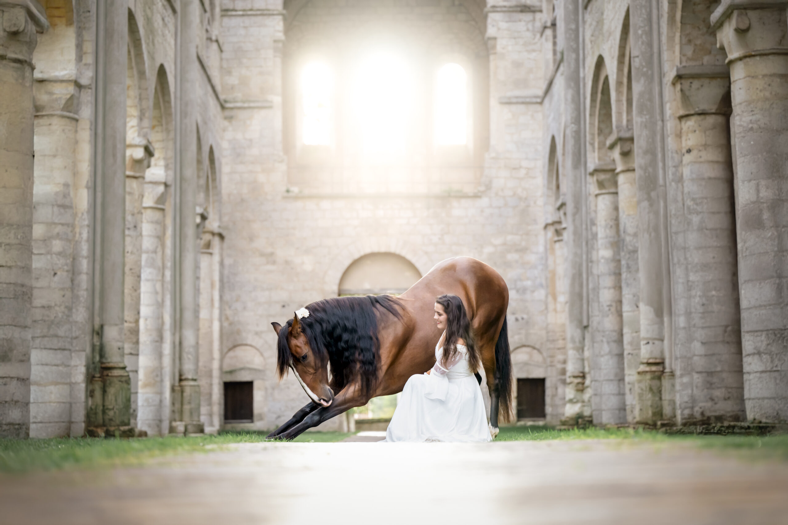 Photographe animalière ; Photographie animalière ; Photographe professionnelle ; Séance photo animale ; Shooting photo animalier ; Portrait animalier ; Photographe Hauts-de-France ; Photographe Somme ; Photographe Pas-de-Calais ; Photographe Nord ; Photographe Lille ; Photographe Amiens ; Photographe Arras ; Photographe Douai ; Photographe Lens ; Photographe Valenciennes ; Photographe Saint-Quentin ; Photographe extérieure ; Photographe nature ; Photographe lumière naturelle ; Photographe douce et patiente ; Photographe bienveillante ; Photographe chien ; Séance photo chien ; Shooting photo canin ; Portrait de chien ; Photo de chien en extérieur ; Photographie de chien en mouvement ; Photographe de chien Hauts-de-France ; Photographe canin Somme ; Photographe canin Pas-de-Calais ; Photographe canin Nord ; Photographe équin ; Photographe cheval ; Séance photo cheval ; Shooting photo équin ; Portrait de cheval ; Photo de cheval en extérieur ; Photographie de cheval en mouvement ; Photographe de cheval Hauts-de-France ; Photographe équin Somme ; Photographe équin Pas-de-Calais ; Photographe équin Nord ; Photographe lifestyle ; Séance photo famille avec animal ; Shooting photo couple avec animal ; Portraits en extérieur avec animal ; Photographe lifestyle Hauts-de-France ; Photographe lifestyle Somme ; Photographe lifestyle Pas-de-Calais ; Photographe lifestyle Nord ; Carte cadeau séance photo ; Offrir une séance photo animale ; Bon cadeau shooting photo ; Idée cadeau photographie animalière ; Galerie photo privée ; Accès galerie client ; Galerie en ligne séance photo ; Téléchargement photos séance ; Commande tirages photo ; Conseils photographie animalière ; Astuces photo chien ; Astuces photo cheval ; Histoires inspirantes animaux ; Coulisses séance photo ; Actualités photographe animalière ; Emmanuelle Meunier ; Emmanuelle Meunier Photographie ; Photographe Emmanuelle Meunier ; Emmanuelle Meunier photographe animalière ; Emmanuelle Meunier Hauts-de-France ; Emmanuelle Meunier Somme ; Emmanuelle Meunier Pas-de-Calais ; Emmanuelle Meunier Nord ; Shooting photo chien Amiens ; Séance photo cheval Arras ; Photographe canine Lille ; Photographe équine Lens ; Portrait animal Valenciennes ; Photo chien Saint-Quentin ; Photo cheval nature Hauts-de-France ; Portrait chien complicité ; Shooting équin lumière naturelle ; Photo artistique chien ; Photo artistique cheval