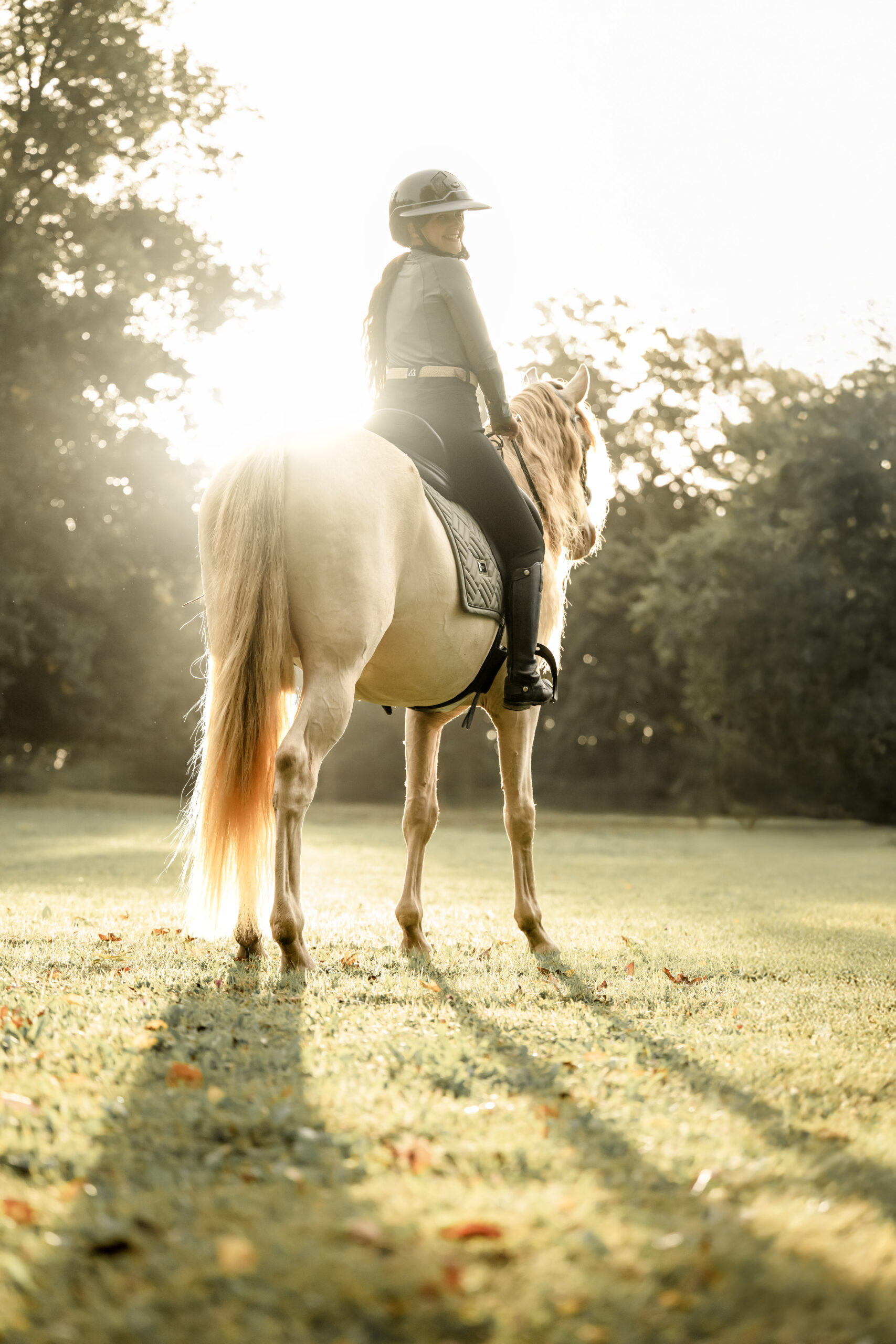 Photographe animalière ; Photographie animalière ; Photographe professionnelle ; Séance photo animale ; Shooting photo animalier ; Portrait animalier ; Photographe Hauts-de-France ; Photographe Somme ; Photographe Pas-de-Calais ; Photographe Nord ; Photographe Lille ; Photographe Amiens ; Photographe Arras ; Photographe Douai ; Photographe Lens ; Photographe Valenciennes ; Photographe Saint-Quentin ; Photographe extérieure ; Photographe nature ; Photographe lumière naturelle ; Photographe douce et patiente ; Photographe bienveillante ; Photographe chien ; Séance photo chien ; Shooting photo canin ; Portrait de chien ; Photo de chien en extérieur ; Photographie de chien en mouvement ; Photographe de chien Hauts-de-France ; Photographe canin Somme ; Photographe canin Pas-de-Calais ; Photographe canin Nord ; Photographe équin ; Photographe cheval ; Séance photo cheval ; Shooting photo équin ; Portrait de cheval ; Photo de cheval en extérieur ; Photographie de cheval en mouvement ; Photographe de cheval Hauts-de-France ; Photographe équin Somme ; Photographe équin Pas-de-Calais ; Photographe équin Nord ; Photographe lifestyle ; Séance photo famille avec animal ; Shooting photo couple avec animal ; Portraits en extérieur avec animal ; Photographe lifestyle Hauts-de-France ; Photographe lifestyle Somme ; Photographe lifestyle Pas-de-Calais ; Photographe lifestyle Nord ; Carte cadeau séance photo ; Offrir une séance photo animale ; Bon cadeau shooting photo ; Idée cadeau photographie animalière ; Galerie photo privée ; Accès galerie client ; Galerie en ligne séance photo ; Téléchargement photos séance ; Commande tirages photo ; Conseils photographie animalière ; Astuces photo chien ; Astuces photo cheval ; Histoires inspirantes animaux ; Coulisses séance photo ; Actualités photographe animalière ; Emmanuelle Meunier ; Emmanuelle Meunier Photographie ; Photographe Emmanuelle Meunier ; Emmanuelle Meunier photographe animalière ; Emmanuelle Meunier Hauts-de-France ; Emmanuelle Meunier Somme ; Emmanuelle Meunier Pas-de-Calais ; Emmanuelle Meunier Nord ; Shooting photo chien Amiens ; Séance photo cheval Arras ; Photographe canine Lille ; Photographe équine Lens ; Portrait animal Valenciennes ; Photo chien Saint-Quentin ; Photo cheval nature Hauts-de-France ; Portrait chien complicité ; Shooting équin lumière naturelle ; Photo artistique chien ; Photo artistique cheval