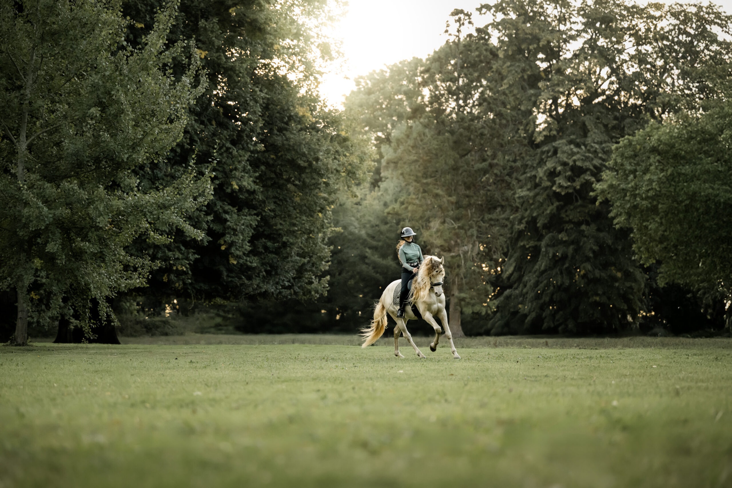 Photographe animalière ; Photographie animalière ; Photographe professionnelle ; Séance photo animale ; Shooting photo animalier ; Portrait animalier ; Photographe Hauts-de-France ; Photographe Somme ; Photographe Pas-de-Calais ; Photographe Nord ; Photographe Lille ; Photographe Amiens ; Photographe Arras ; Photographe Douai ; Photographe Lens ; Photographe Valenciennes ; Photographe Saint-Quentin ; Photographe extérieure ; Photographe nature ; Photographe lumière naturelle ; Photographe douce et patiente ; Photographe bienveillante ; Photographe chien ; Séance photo chien ; Shooting photo canin ; Portrait de chien ; Photo de chien en extérieur ; Photographie de chien en mouvement ; Photographe de chien Hauts-de-France ; Photographe canin Somme ; Photographe canin Pas-de-Calais ; Photographe canin Nord ; Photographe équin ; Photographe cheval ; Séance photo cheval ; Shooting photo équin ; Portrait de cheval ; Photo de cheval en extérieur ; Photographie de cheval en mouvement ; Photographe de cheval Hauts-de-France ; Photographe équin Somme ; Photographe équin Pas-de-Calais ; Photographe équin Nord ; Photographe lifestyle ; Séance photo famille avec animal ; Shooting photo couple avec animal ; Portraits en extérieur avec animal ; Photographe lifestyle Hauts-de-France ; Photographe lifestyle Somme ; Photographe lifestyle Pas-de-Calais ; Photographe lifestyle Nord ; Carte cadeau séance photo ; Offrir une séance photo animale ; Bon cadeau shooting photo ; Idée cadeau photographie animalière ; Galerie photo privée ; Accès galerie client ; Galerie en ligne séance photo ; Téléchargement photos séance ; Commande tirages photo ; Conseils photographie animalière ; Astuces photo chien ; Astuces photo cheval ; Histoires inspirantes animaux ; Coulisses séance photo ; Actualités photographe animalière ; Emmanuelle Meunier ; Emmanuelle Meunier Photographie ; Photographe Emmanuelle Meunier ; Emmanuelle Meunier photographe animalière ; Emmanuelle Meunier Hauts-de-France ; Emmanuelle Meunier Somme ; Emmanuelle Meunier Pas-de-Calais ; Emmanuelle Meunier Nord ; Shooting photo chien Amiens ; Séance photo cheval Arras ; Photographe canine Lille ; Photographe équine Lens ; Portrait animal Valenciennes ; Photo chien Saint-Quentin ; Photo cheval nature Hauts-de-France ; Portrait chien complicité ; Shooting équin lumière naturelle ; Photo artistique chien ; Photo artistique cheval