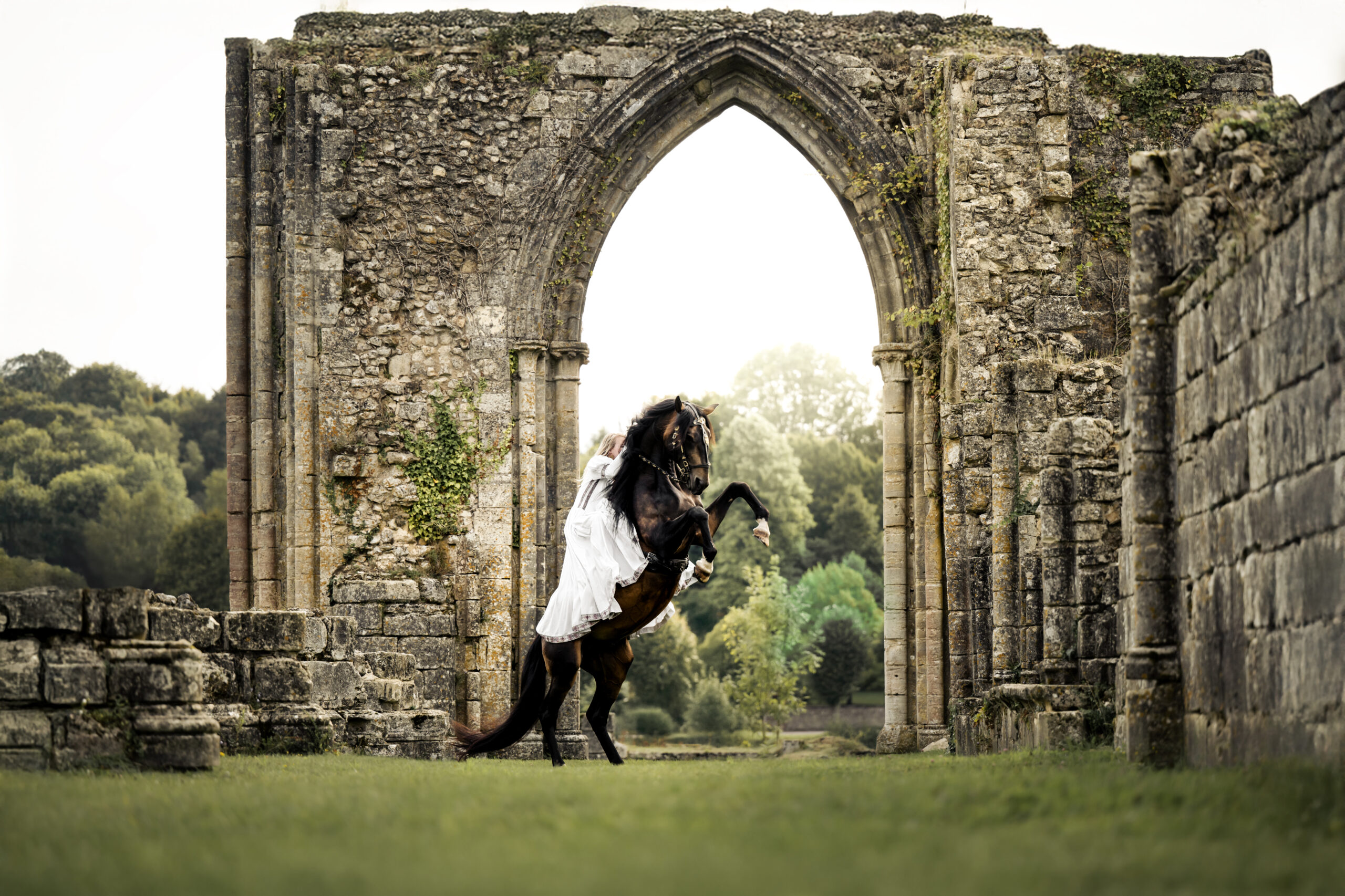 Photographe animalière ; Photographie animalière ; Photographe professionnelle ; Séance photo animale ; Shooting photo animalier ; Portrait animalier ; Photographe Hauts-de-France ; Photographe Somme ; Photographe Pas-de-Calais ; Photographe Nord ; Photographe Lille ; Photographe Amiens ; Photographe Arras ; Photographe Douai ; Photographe Lens ; Photographe Valenciennes ; Photographe Saint-Quentin ; Photographe extérieure ; Photographe nature ; Photographe lumière naturelle ; Photographe douce et patiente ; Photographe bienveillante ; Photographe chien ; Séance photo chien ; Shooting photo canin ; Portrait de chien ; Photo de chien en extérieur ; Photographie de chien en mouvement ; Photographe de chien Hauts-de-France ; Photographe canin Somme ; Photographe canin Pas-de-Calais ; Photographe canin Nord ; Photographe équin ; Photographe cheval ; Séance photo cheval ; Shooting photo équin ; Portrait de cheval ; Photo de cheval en extérieur ; Photographie de cheval en mouvement ; Photographe de cheval Hauts-de-France ; Photographe équin Somme ; Photographe équin Pas-de-Calais ; Photographe équin Nord ; Photographe lifestyle ; Séance photo famille avec animal ; Shooting photo couple avec animal ; Portraits en extérieur avec animal ; Photographe lifestyle Hauts-de-France ; Photographe lifestyle Somme ; Photographe lifestyle Pas-de-Calais ; Photographe lifestyle Nord ; Carte cadeau séance photo ; Offrir une séance photo animale ; Bon cadeau shooting photo ; Idée cadeau photographie animalière ; Galerie photo privée ; Accès galerie client ; Galerie en ligne séance photo ; Téléchargement photos séance ; Commande tirages photo ; Conseils photographie animalière ; Astuces photo chien ; Astuces photo cheval ; Histoires inspirantes animaux ; Coulisses séance photo ; Actualités photographe animalière ; Emmanuelle Meunier ; Emmanuelle Meunier Photographie ; Photographe Emmanuelle Meunier ; Emmanuelle Meunier photographe animalière ; Emmanuelle Meunier Hauts-de-France ; Emmanuelle Meunier Somme ; Emmanuelle Meunier Pas-de-Calais ; Emmanuelle Meunier Nord ; Shooting photo chien Amiens ; Séance photo cheval Arras ; Photographe canine Lille ; Photographe équine Lens ; Portrait animal Valenciennes ; Photo chien Saint-Quentin ; Photo cheval nature Hauts-de-France ; Portrait chien complicité ; Shooting équin lumière naturelle ; Photo artistique chien ; Photo artistique cheval