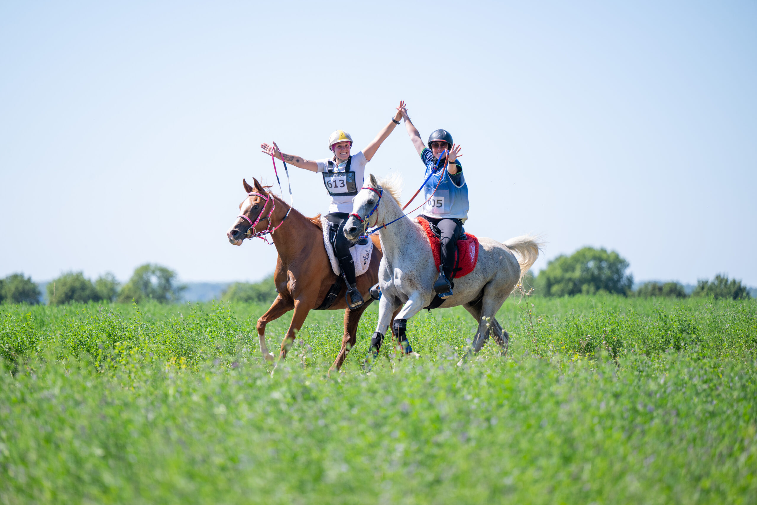 Photographe animalière ; Photographie animalière ; Photographe professionnelle ; Séance photo animale ; Shooting photo animalier ; Portrait animalier ; Photographe Hauts-de-France ; Photographe Somme ; Photographe Pas-de-Calais ; Photographe Nord ; Photographe Lille ; Photographe Amiens ; Photographe Arras ; Photographe Douai ; Photographe Lens ; Photographe Valenciennes ; Photographe Saint-Quentin ; Photographe extérieure ; Photographe nature ; Photographe lumière naturelle ; Photographe douce et patiente ; Photographe bienveillante ; Photographe chien ; Séance photo chien ; Shooting photo canin ; Portrait de chien ; Photo de chien en extérieur ; Photographie de chien en mouvement ; Photographe de chien Hauts-de-France ; Photographe canin Somme ; Photographe canin Pas-de-Calais ; Photographe canin Nord ; Photographe équin ; Photographe cheval ; Séance photo cheval ; Shooting photo équin ; Portrait de cheval ; Photo de cheval en extérieur ; Photographie de cheval en mouvement ; Photographe de cheval Hauts-de-France ; Photographe équin Somme ; Photographe équin Pas-de-Calais ; Photographe équin Nord ; Photographe lifestyle ; Séance photo famille avec animal ; Shooting photo couple avec animal ; Portraits en extérieur avec animal ; Photographe lifestyle Hauts-de-France ; Photographe lifestyle Somme ; Photographe lifestyle Pas-de-Calais ; Photographe lifestyle Nord ; Carte cadeau séance photo ; Offrir une séance photo animale ; Bon cadeau shooting photo ; Idée cadeau photographie animalière ; Galerie photo privée ; Accès galerie client ; Galerie en ligne séance photo ; Téléchargement photos séance ; Commande tirages photo ; Conseils photographie animalière ; Astuces photo chien ; Astuces photo cheval ; Histoires inspirantes animaux ; Coulisses séance photo ; Actualités photographe animalière ; Emmanuelle Meunier ; Emmanuelle Meunier Photographie ; Photographe Emmanuelle Meunier ; Emmanuelle Meunier photographe animalière ; Emmanuelle Meunier Hauts-de-France ; Emmanuelle Meunier Somme ; Emmanuelle Meunier Pas-de-Calais ; Emmanuelle Meunier Nord ; Shooting photo chien Amiens ; Séance photo cheval Arras ; Photographe canine Lille ; Photographe équine Lens ; Portrait animal Valenciennes ; Photo chien Saint-Quentin ; Photo cheval nature Hauts-de-France ; Portrait chien complicité ; Shooting équin lumière naturelle ; Photo artistique chien ; Photo artistique cheval
