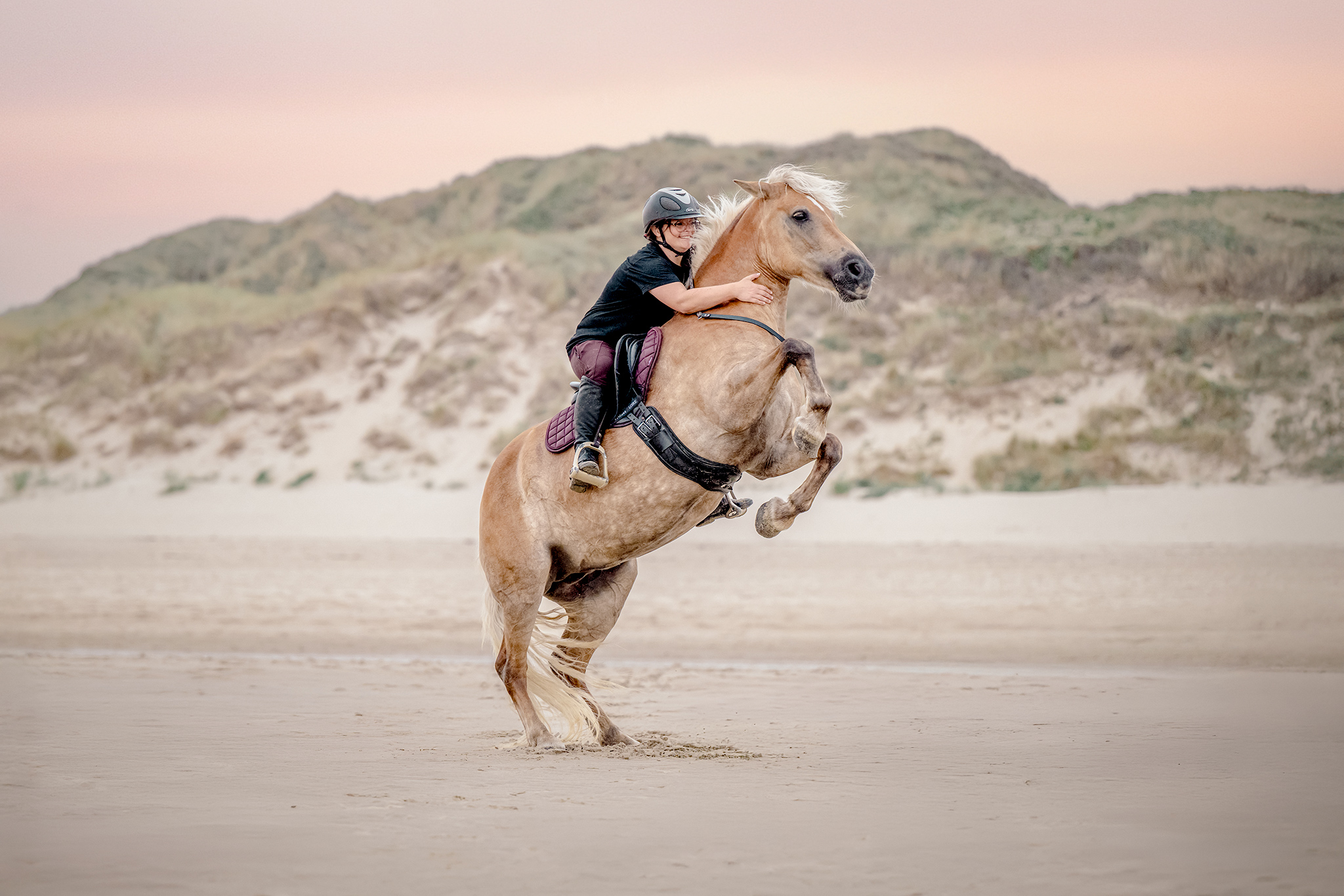 Photographe animalière ; Photographie animalière ; Photographe professionnelle ; Séance photo animale ; Shooting photo animalier ; Portrait animalier ; Photographe Hauts-de-France ; Photographe Somme ; Photographe Pas-de-Calais ; Photographe Nord ; Photographe Lille ; Photographe Amiens ; Photographe Arras ; Photographe Douai ; Photographe Lens ; Photographe Valenciennes ; Photographe Saint-Quentin ; Photographe extérieure ; Photographe nature ; Photographe lumière naturelle ; Photographe douce et patiente ; Photographe bienveillante ; Photographe chien ; Séance photo chien ; Shooting photo canin ; Portrait de chien ; Photo de chien en extérieur ; Photographie de chien en mouvement ; Photographe de chien Hauts-de-France ; Photographe canin Somme ; Photographe canin Pas-de-Calais ; Photographe canin Nord ; Photographe équin ; Photographe cheval ; Séance photo cheval ; Shooting photo équin ; Portrait de cheval ; Photo de cheval en extérieur ; Photographie de cheval en mouvement ; Photographe de cheval Hauts-de-France ; Photographe équin Somme ; Photographe équin Pas-de-Calais ; Photographe équin Nord ; Photographe lifestyle ; Séance photo famille avec animal ; Shooting photo couple avec animal ; Portraits en extérieur avec animal ; Photographe lifestyle Hauts-de-France ; Photographe lifestyle Somme ; Photographe lifestyle Pas-de-Calais ; Photographe lifestyle Nord ; Carte cadeau séance photo ; Offrir une séance photo animale ; Bon cadeau shooting photo ; Idée cadeau photographie animalière ; Galerie photo privée ; Accès galerie client ; Galerie en ligne séance photo ; Téléchargement photos séance ; Commande tirages photo ; Conseils photographie animalière ; Astuces photo chien ; Astuces photo cheval ; Histoires inspirantes animaux ; Coulisses séance photo ; Actualités photographe animalière ; Emmanuelle Meunier ; Emmanuelle Meunier Photographie ; Photographe Emmanuelle Meunier ; Emmanuelle Meunier photographe animalière ; Emmanuelle Meunier Hauts-de-France ; Emmanuelle Meunier Somme ; Emmanuelle Meunier Pas-de-Calais ; Emmanuelle Meunier Nord ; Shooting photo chien Amiens ; Séance photo cheval Arras ; Photographe canine Lille ; Photographe équine Lens ; Portrait animal Valenciennes ; Photo chien Saint-Quentin ; Photo cheval nature Hauts-de-France ; Portrait chien complicité ; Shooting équin lumière naturelle ; Photo artistique chien ; Photo artistique cheval