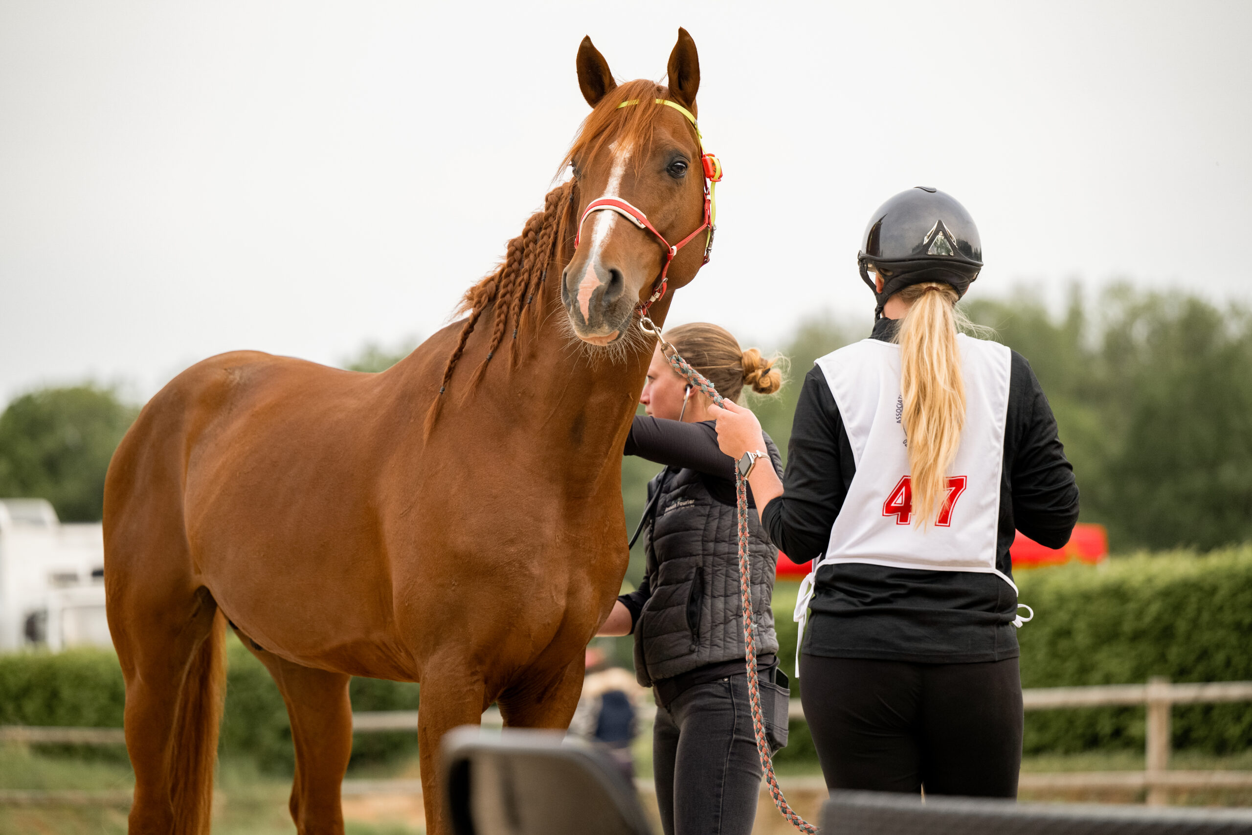 Photographe animalière ; Photographie animalière ; Photographe professionnelle ; Séance photo animale ; Shooting photo animalier ; Portrait animalier ; Photographe Hauts-de-France ; Photographe Somme ; Photographe Pas-de-Calais ; Photographe Nord ; Photographe Lille ; Photographe Amiens ; Photographe Arras ; Photographe Douai ; Photographe Lens ; Photographe Valenciennes ; Photographe Saint-Quentin ; Photographe extérieure ; Photographe nature ; Photographe lumière naturelle ; Photographe douce et patiente ; Photographe bienveillante ; Photographe chien ; Séance photo chien ; Shooting photo canin ; Portrait de chien ; Photo de chien en extérieur ; Photographie de chien en mouvement ; Photographe de chien Hauts-de-France ; Photographe canin Somme ; Photographe canin Pas-de-Calais ; Photographe canin Nord ; Photographe équin ; Photographe cheval ; Séance photo cheval ; Shooting photo équin ; Portrait de cheval ; Photo de cheval en extérieur ; Photographie de cheval en mouvement ; Photographe de cheval Hauts-de-France ; Photographe équin Somme ; Photographe équin Pas-de-Calais ; Photographe équin Nord ; Photographe lifestyle ; Séance photo famille avec animal ; Shooting photo couple avec animal ; Portraits en extérieur avec animal ; Photographe lifestyle Hauts-de-France ; Photographe lifestyle Somme ; Photographe lifestyle Pas-de-Calais ; Photographe lifestyle Nord ; Carte cadeau séance photo ; Offrir une séance photo animale ; Bon cadeau shooting photo ; Idée cadeau photographie animalière ; Galerie photo privée ; Accès galerie client ; Galerie en ligne séance photo ; Téléchargement photos séance ; Commande tirages photo ; Conseils photographie animalière ; Astuces photo chien ; Astuces photo cheval ; Histoires inspirantes animaux ; Coulisses séance photo ; Actualités photographe animalière ; Emmanuelle Meunier ; Emmanuelle Meunier Photographie ; Photographe Emmanuelle Meunier ; Emmanuelle Meunier photographe animalière ; Emmanuelle Meunier Hauts-de-France ; Emmanuelle Meunier Somme ; Emmanuelle Meunier Pas-de-Calais ; Emmanuelle Meunier Nord ; Shooting photo chien Amiens ; Séance photo cheval Arras ; Photographe canine Lille ; Photographe équine Lens ; Portrait animal Valenciennes ; Photo chien Saint-Quentin ; Photo cheval nature Hauts-de-France ; Portrait chien complicité ; Shooting équin lumière naturelle ; Photo artistique chien ; Photo artistique cheval
